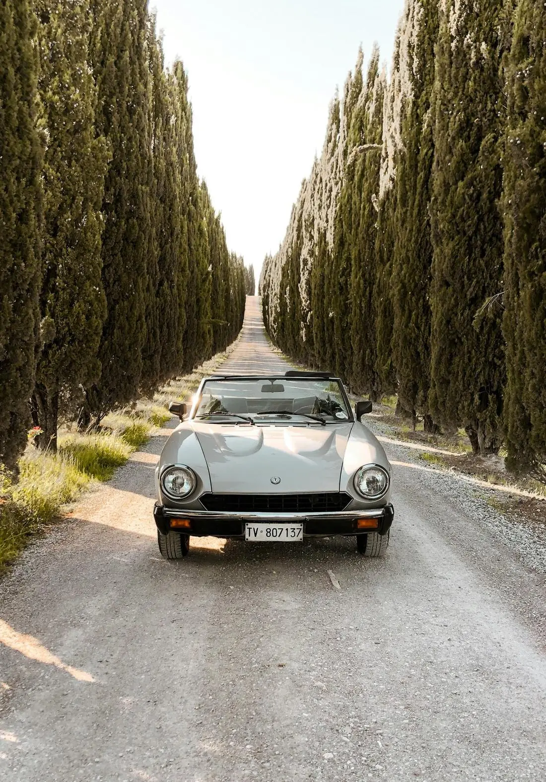 An avenue of cypresses in Tuscany