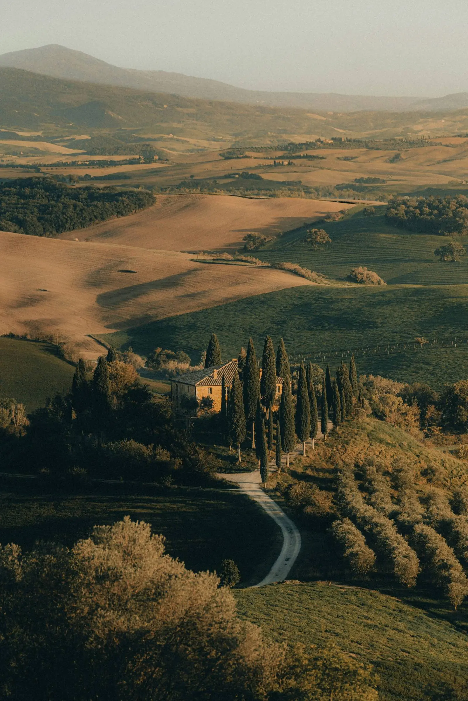 Tuscan hills in the evening light