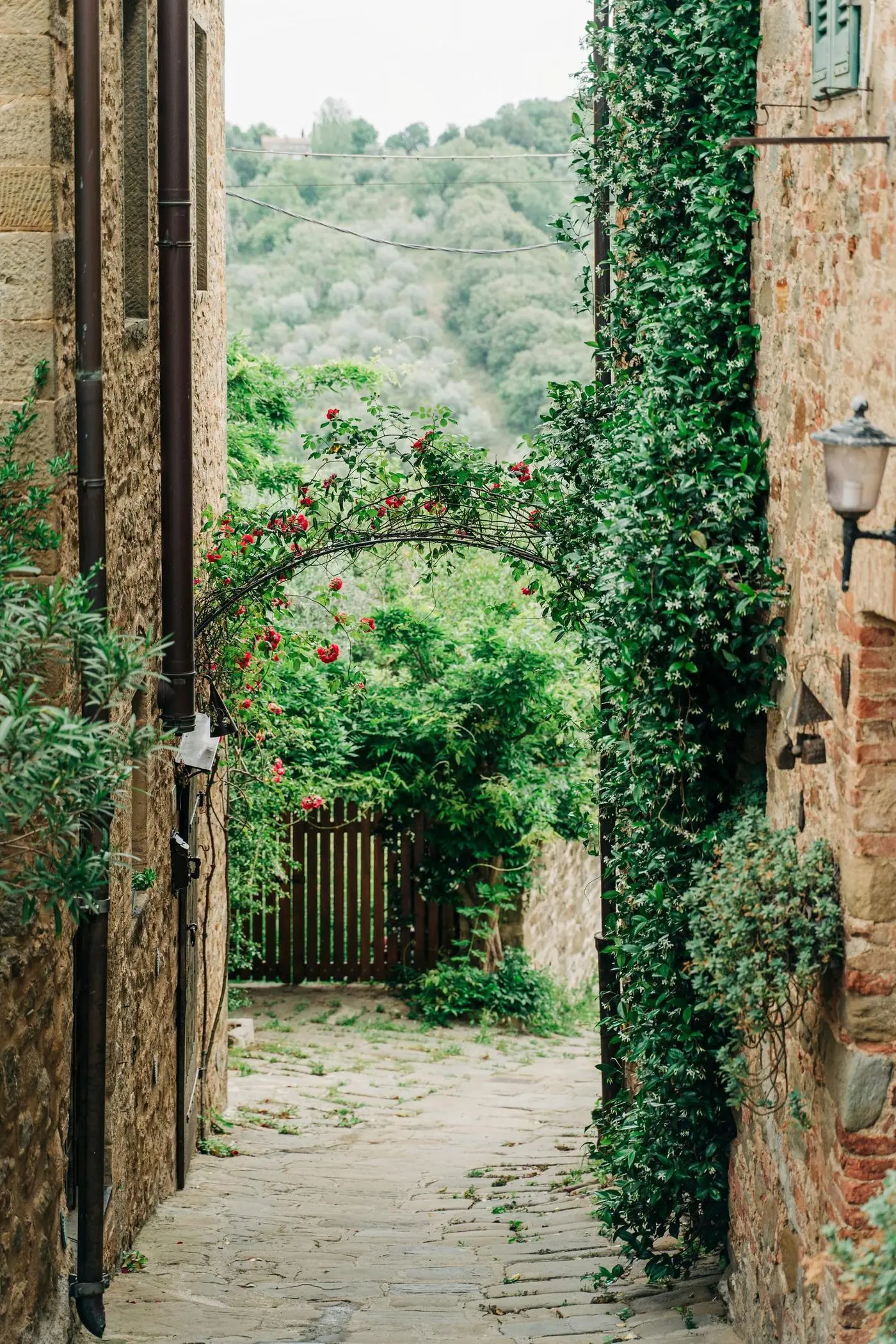 A lane in Tuscany